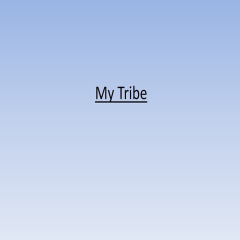 My Tribe Evaluation