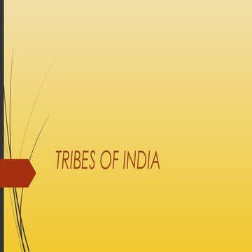 Tri bes in india