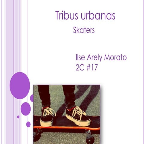 Tribus1