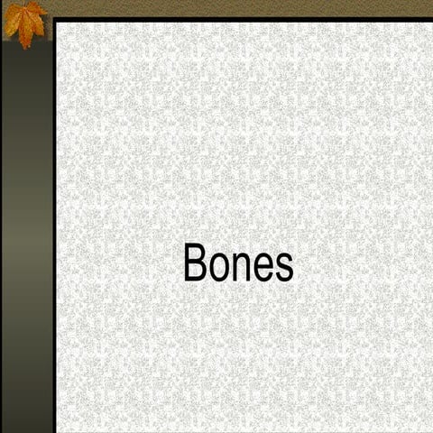 bones