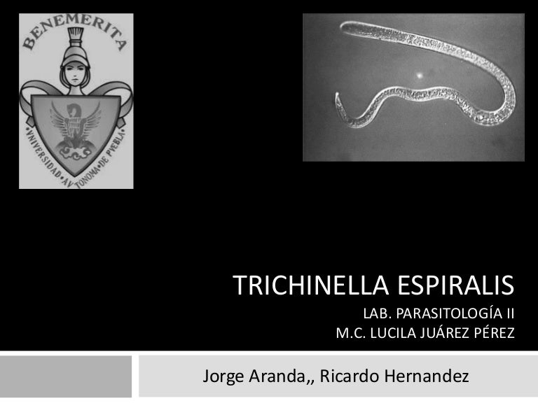 Trichinella van