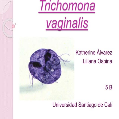 Trichomona vaginalis