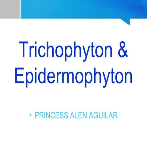 Trichophyton and Epidermophyton