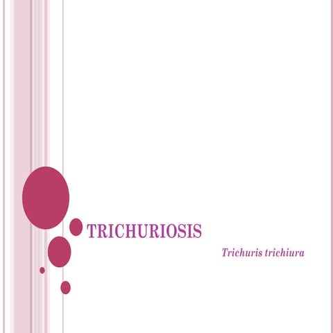 Trichuris. PARASITOLOGIA - PARASITOS ppt