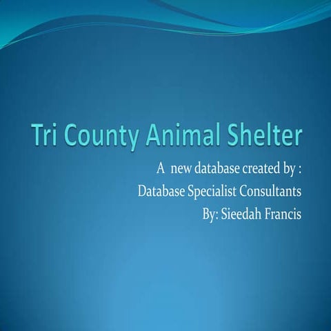 Tri county animal shelter