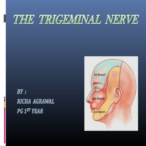 Trigeminal nerve