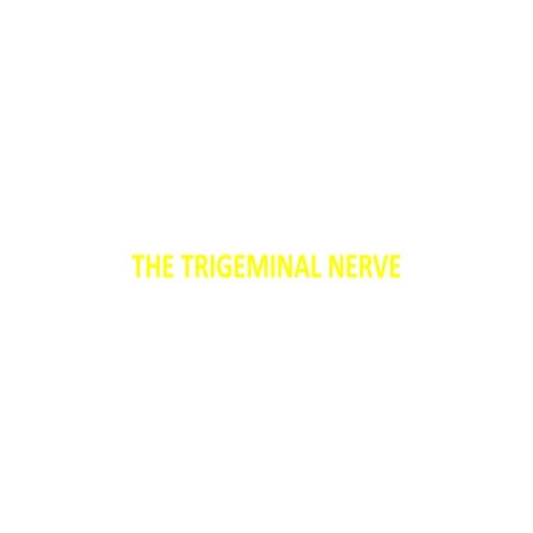 Trigeminal n.
