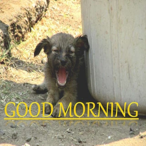 Trigeminal nerve and its importance in max-fac surgery