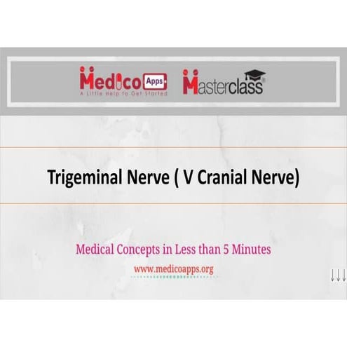 Trigeminal nerve | PDF
