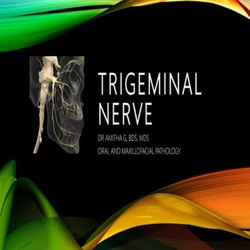 Trigeminal Nerve