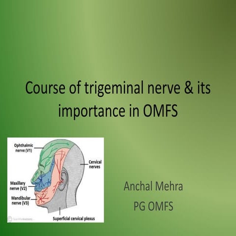 Trigeminal nerve