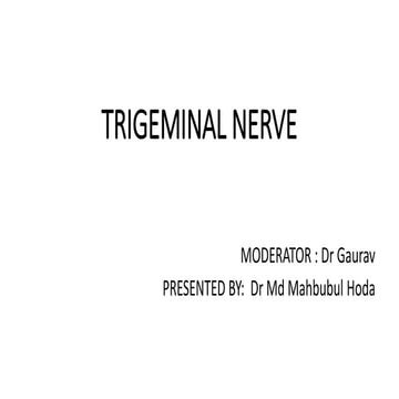 Trigeminal nerve