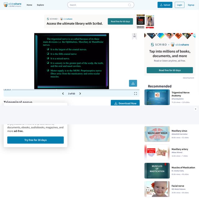 Trigeminal nerve.pdf
