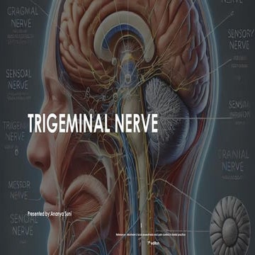 Trigeminal Nerve physiology and pathology