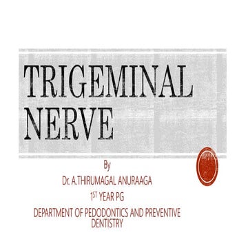 Trigeminal nerve 
