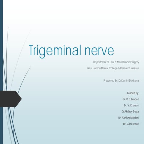 Trigeminal nerve  