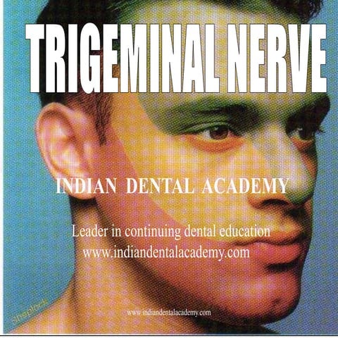 Trigeminal nerve (nx power lite)   /certified fixed orthodontic courses by In...