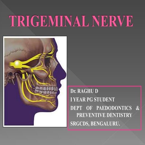 Trigeminal nerve ppt