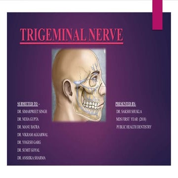 Trigeminal nerve 