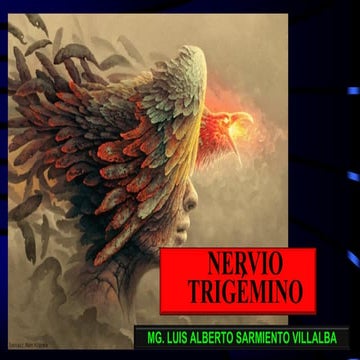 NERVIO TRIGEMINO 