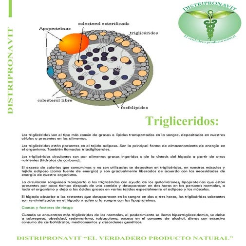 Trigliceridos
