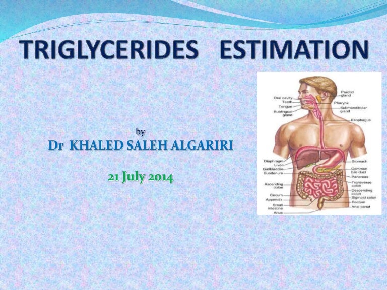 Triglyceride estimation
