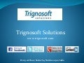 Trignosoft Solutions – Professional Web Development & SEO Services Company India