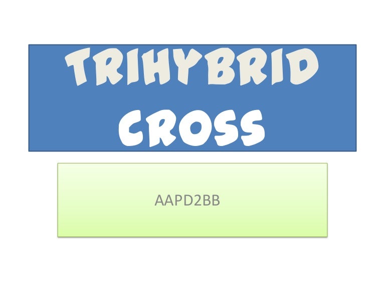 trihybrid cross