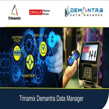 Trinamix demantra data manager