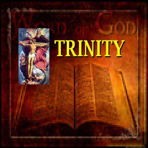 Trinity New