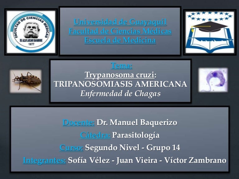 o que significa trypanosoma o que significa trypanosoma