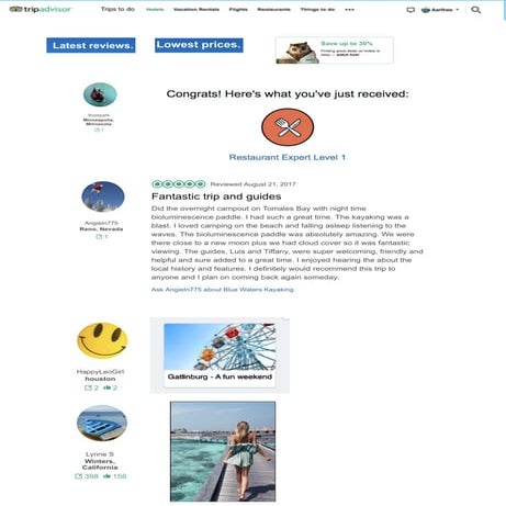 Dashboard - Tripfeed