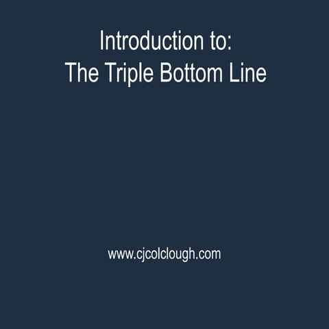 Triple bottom line explanation