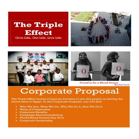 Triple Effect Corporate Proposal