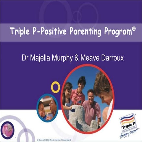 Triple P Panel