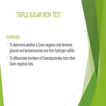 TRIPLE SUGAR IRON TEST biochemical tests