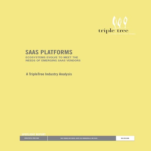 Neev Competencies in SaaS-based Development | PPTX