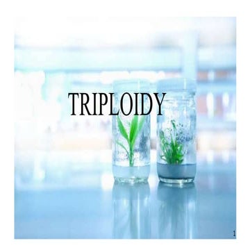 Triploidy ...............................pptx