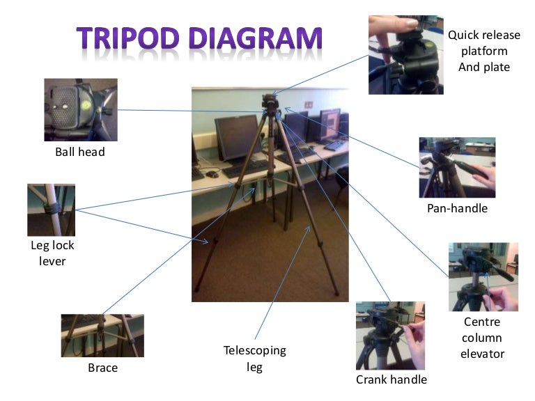 Tripod Diagram
