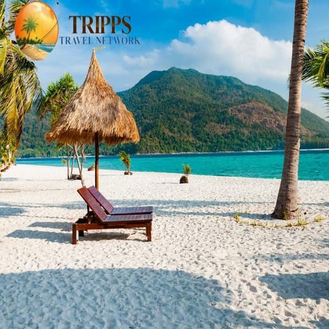 Tripps Travel Network