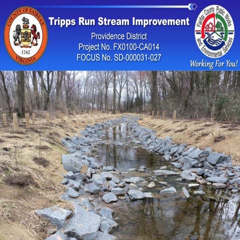 Tripps Run Stream Improvement | PDF