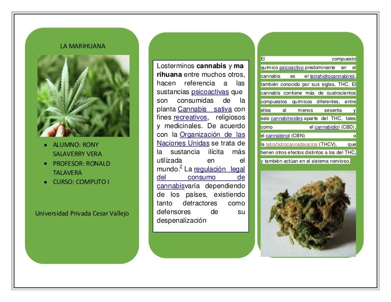 triptico como hacer un triptico en word
