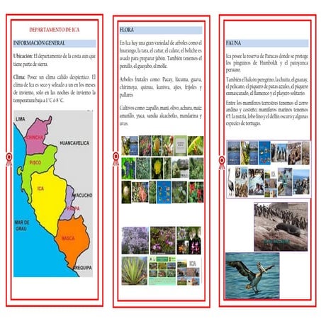 Triptico de ica | PDF