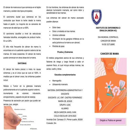 TRIPTICO CANCER DE MAMA.pdf