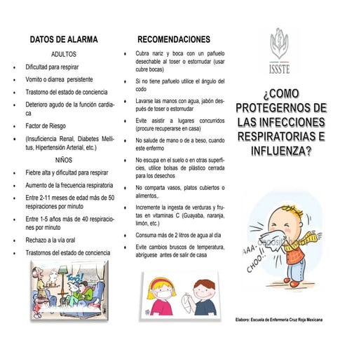 Triptico de influenza