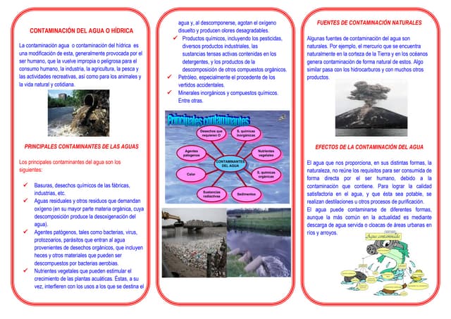 Triptico de la contaminacion del agua | PDF
