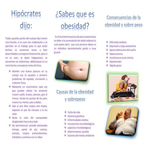  triptico OBESIDAD