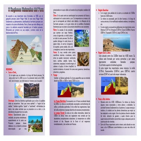 Triptico departamento 8 regiones naturales del peru