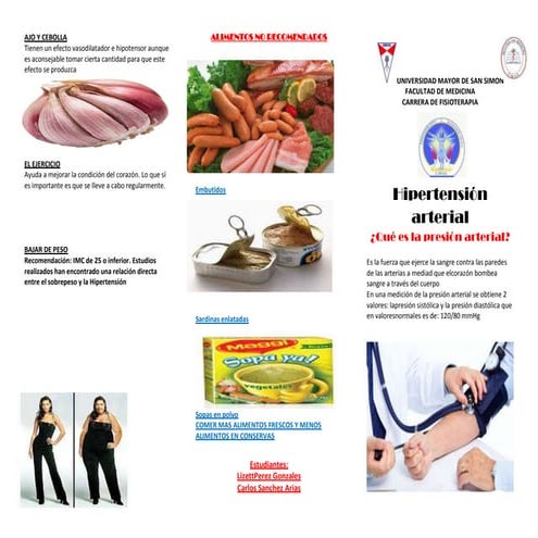 Triptico hipertension apoyo