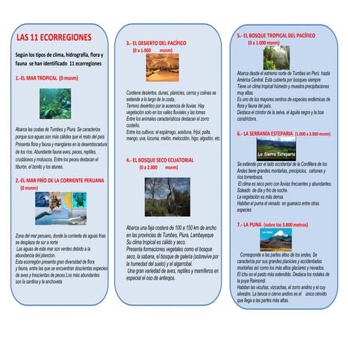 Triptico LAS 11 ECORREGIONES DEL PERÚ.docx